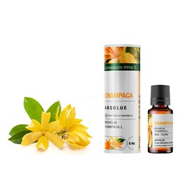 assoluto di champaca