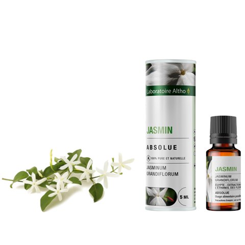 ASSOLUTO DI GELSOMINO
