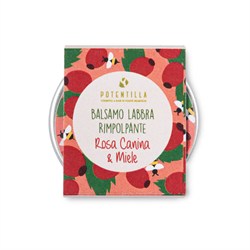 balsamo-labbra-rimpolpante-potentilla balsamo-labbra-rimpolpante-potentilla