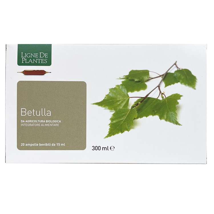 BETULLA - INTEGRATORE Ligne De Plantes Ligne De Plantes