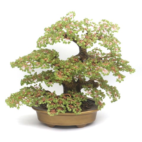 BONSAI DI CRISTALLI - OLIVINA