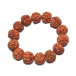 bracciale rudraksha