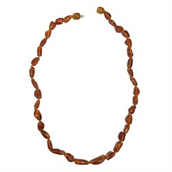 collana ambra baltica adulto