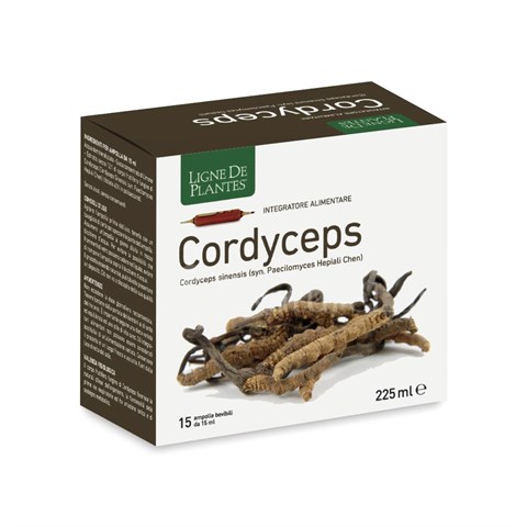CORDYCEPS - INTEGRATORE
