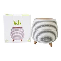 DIFFUSORE - WALLY *Non più assortito