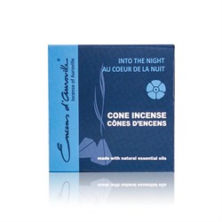 INCENSO A CONI INTO THE NIGHT - MAROMA Incensi & Accessori