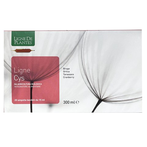 LIGNE CYS - INTEGRATORE