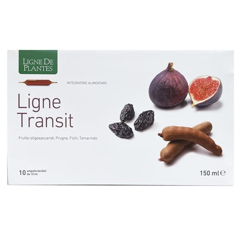 LIGNE TRANSIT - INTEGRATORE