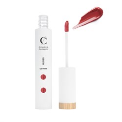 LIP GLOSS  VOILE DE FRAMBOISE  N.813 Couleur Caramel