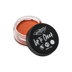 LIP TO CHEEK 01 - CARROT *Non più assortito