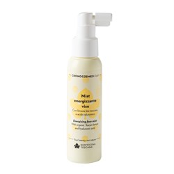 mist energizzante viso cronocosmesi day