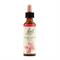 N°10 - CRAB APPLE - FIORI DI BACH Bach original flower