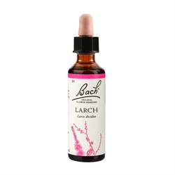 N°19 - LARCH - FIORI DI BACH Bach original flower