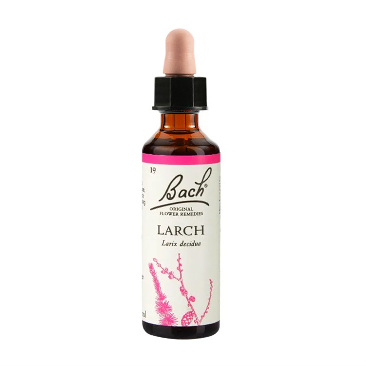 N°19 - LARCH - FIORI DI BACH Bach original flower Bach original flower