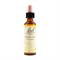 N°36 - WILD OAT - FIORI DI BACH Bach original flower