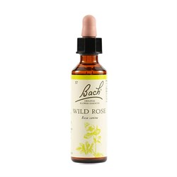 N°37 - WILD ROSE - FIORI DI BACH Bach original flower
