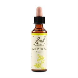 N°37 - WILD ROSE - FIORI DI BACH Bach original flower