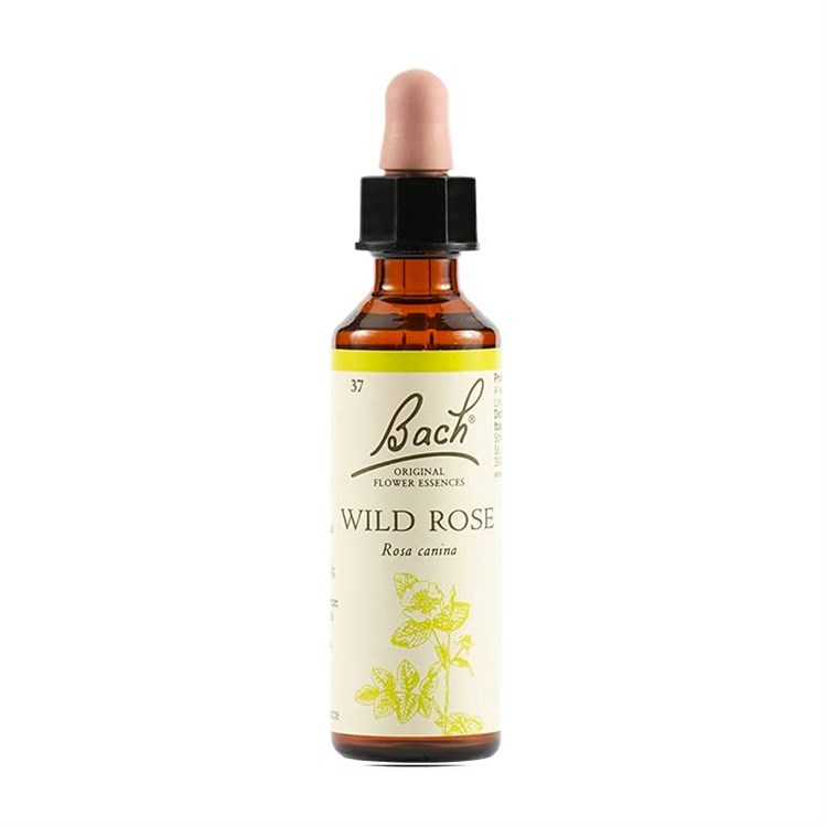 N°37 - WILD ROSE - FIORI DI BACH Bach original flower Bach original flower