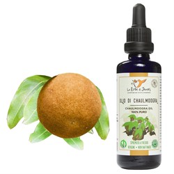 olio di chaulmoogra