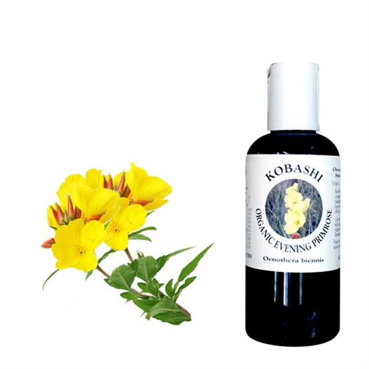 OLIO DI ENOTERA *Non più assortito *Non più assortito