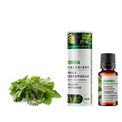 olio essenziale di basilico africano romba