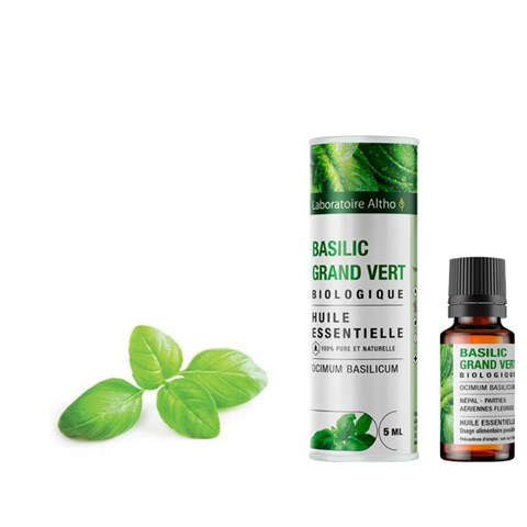 OLIO ESSENZIALE DI BASILICO ESOTICO - BIO