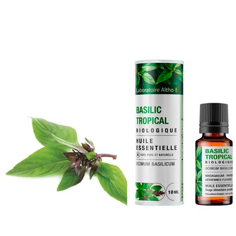 OLIO ESSENZIALE DI BASILICO TROPICALE - BIO