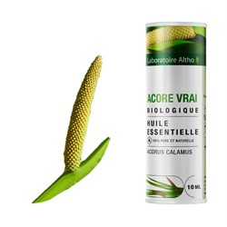 olio essenziale di calamo laboratoire altho