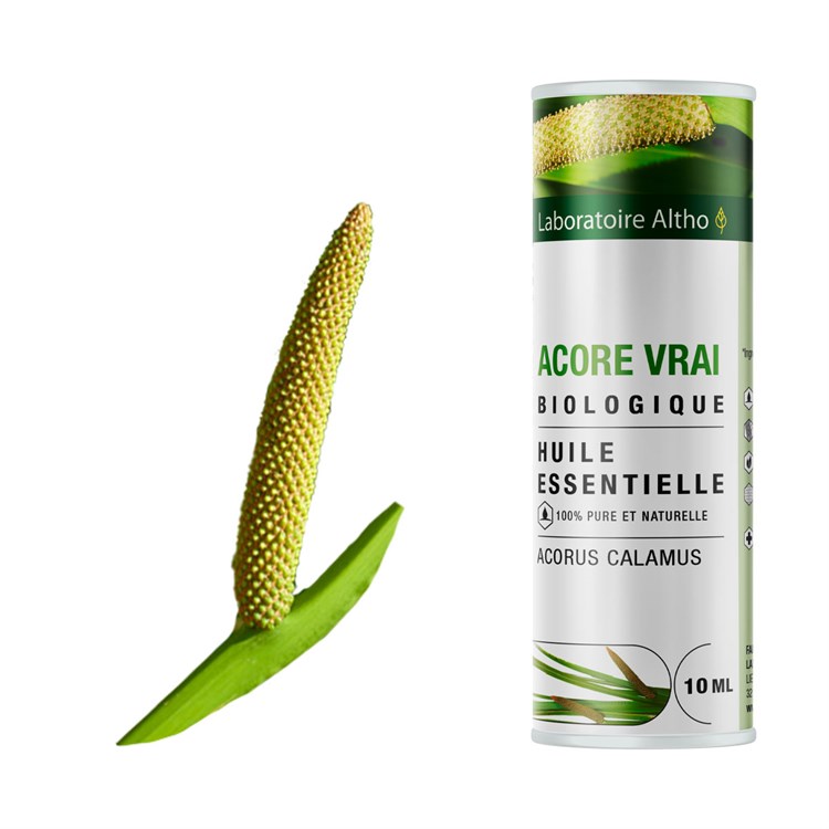 OLIO ESSENZIALE DI CALAMO - BIO Laboratoire Altho Laboratoire Altho