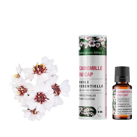 OLIO ESSENZIALE DI CAMOMILLA DEL CAPO - BIO