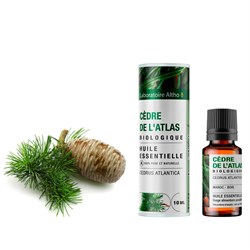 olio essenziale di cedro