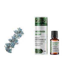 olio essenziale di eriocefalo africano laboratoire altho