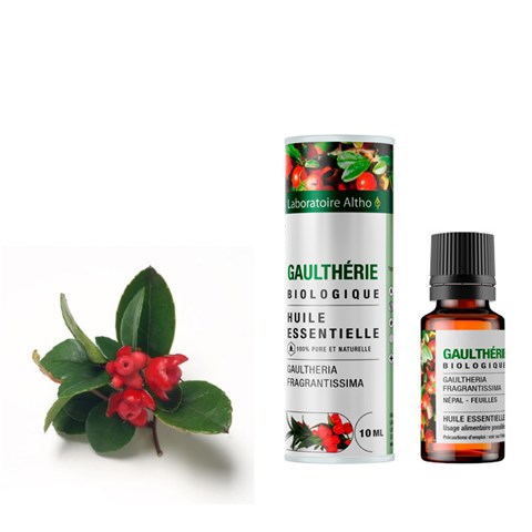 OLIO ESSENZIALE DI GAULTHERIA - BIO