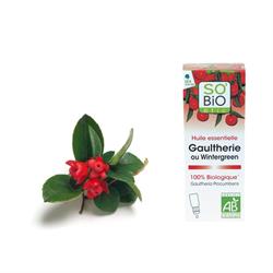 OLIO ESSENZIALE DI GAULTHERIA *Non più assortito