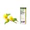 OLIO ESSENZIALE DI INULA Laboratoire Altho