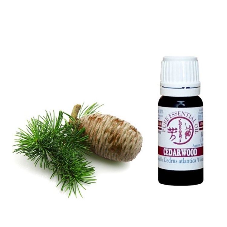OLIO ESSENZIALE DI LEGNO DI CEDRO DELL'ATLANTE *Non più assortito *Non più assortito