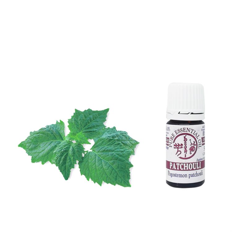 OLIO ESSENZIALE DI PATCHOULI Kobashi Kobashi