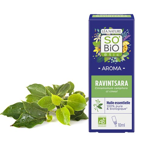 OLIO ESSENZIALE DI RAVINTSARA - BIO