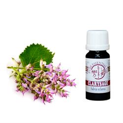 OLIO ESSENZIALE DI SALVIA SCLAREA 10 ml Kobashi