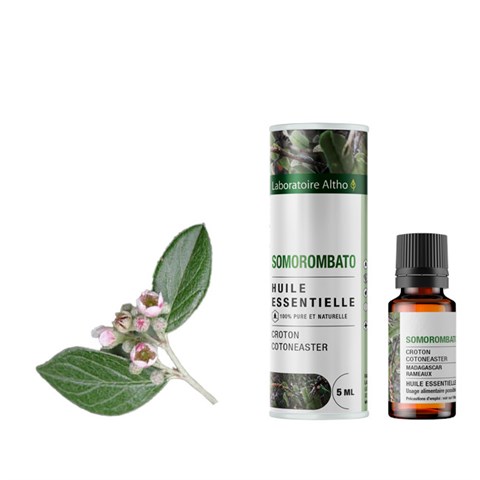 OLIO ESSENZIALE DI CROTON COTONEASTER (SOMOROMBATO) - BIO