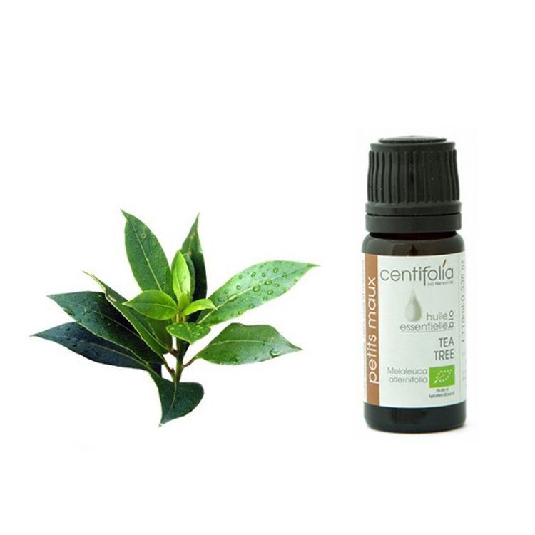 OLIO ESSENZIALE DI TEA TREE - CENTIFOLIA *Non più assortito *Non più assortito