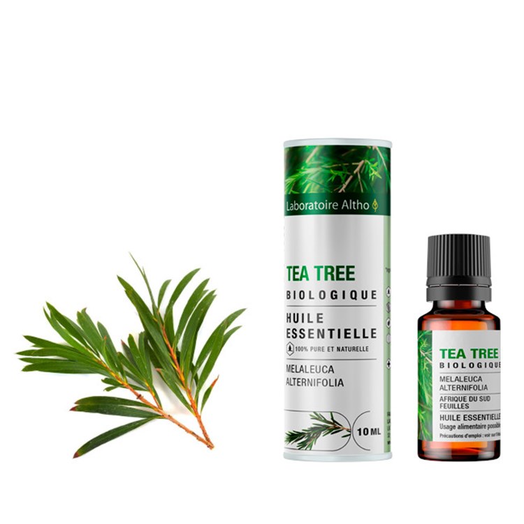 OLIO ESSENZIALE DI TEA TREE Laboratoire Altho Laboratoire Altho