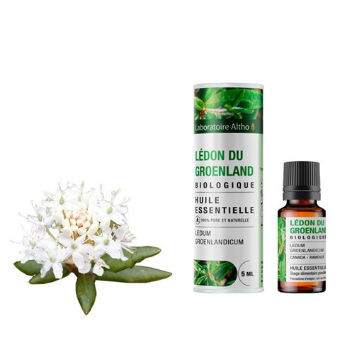 OLIO ESSENZIALE DI THE DEL LABRADOR - BIO