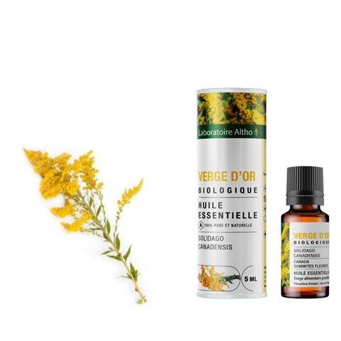 OLIO ESSENZIALE DI VERGA D'ORO - BIO
