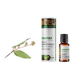 olio essenziale di zanapoly croton geayi