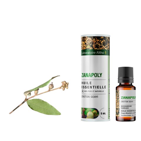 OLIO ESSENZIALE DI CROTON GEAYI (ZANAPOLY) - BIO