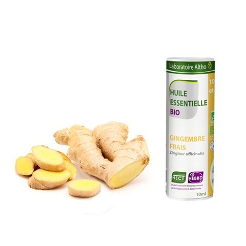 OLIO ESSENZIALE DI ZENZERO FRESCO (GIOVANE) - BIO
