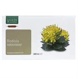 RODIOLA - INTEGRATORE Ligne De Plantes