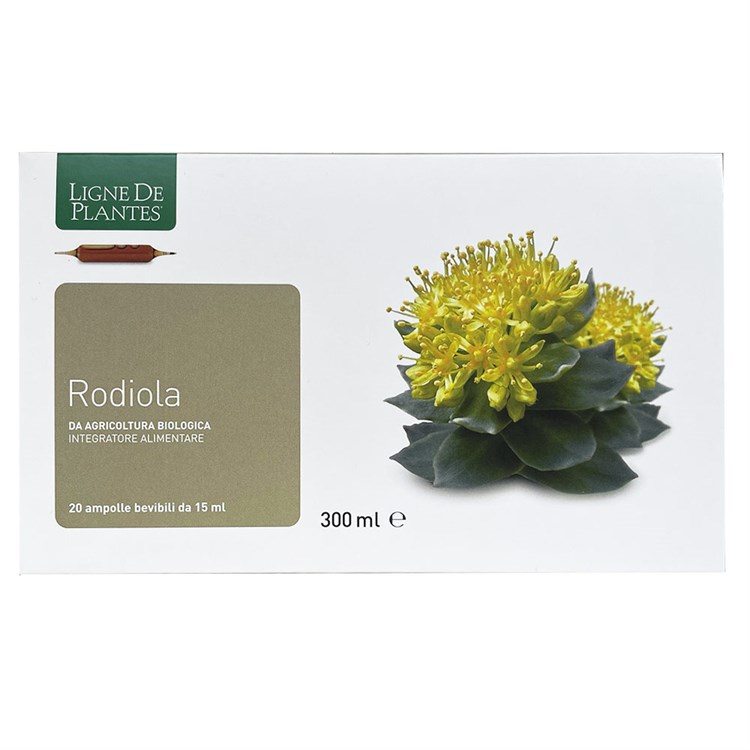 RODIOLA - INTEGRATORE Ligne De Plantes Ligne De Plantes