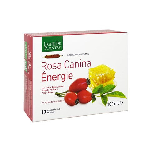 ROSA CANINA ÉNERGIE - INTEGRATORE
